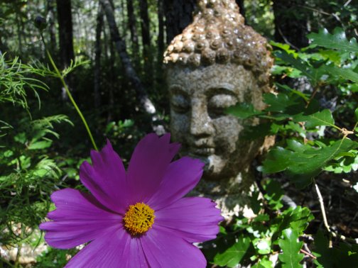 flowering buddha